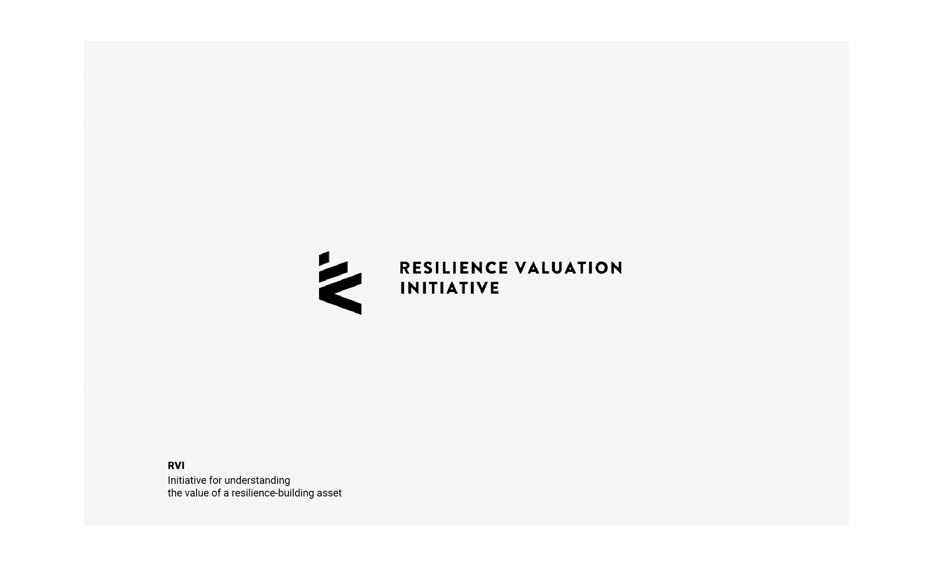 Logo for The Resilience Valuation Initiative